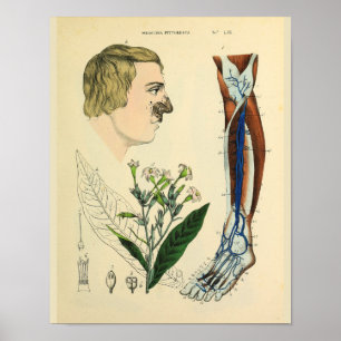 Impressão da arte da anatomia do pé do pé dos