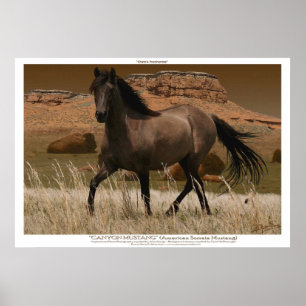 Impressão da arte da conservação do cavalo do