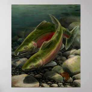 Impressão da arte da pesca dos salmões de Coho d
