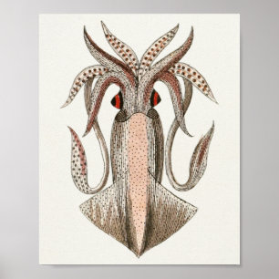 Impressão da arte das criaturas do mar do