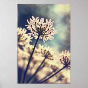 Impressão da arte das flores do laço da rainha