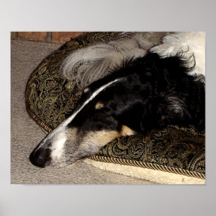 IMPRESSÃO DA ARTE DO BORZOI