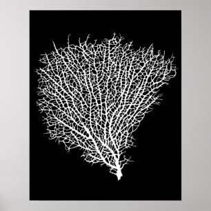 impressão da arte do fã coral branco