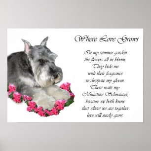 Impressão da arte do Schnauzer diminuto