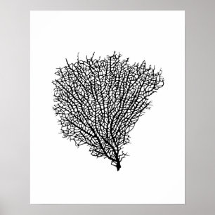 Impressão da arte, fã coral preto no branco