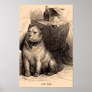 impressão da Baixa Vida para o cão do século XIX