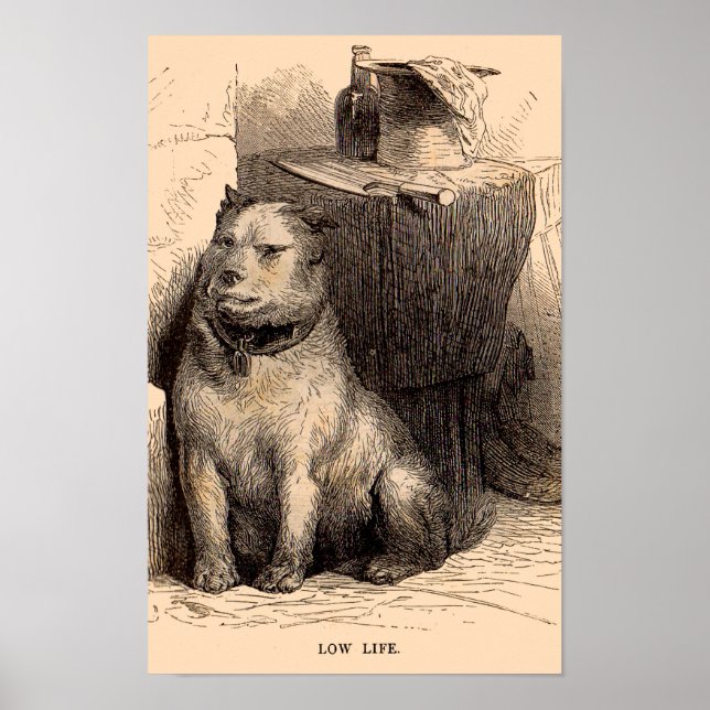 impressão da Baixa Vida para o cão do século XIX (Frente)