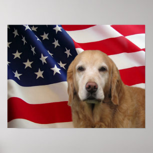 Impressão da bandeira americana do golden