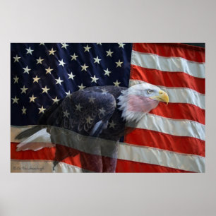 Impressão da bandeira de Eagle do americano