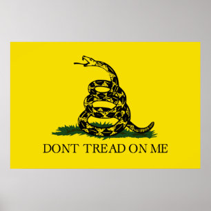 Impressão da bandeira de Gadsden (não pise em mi
