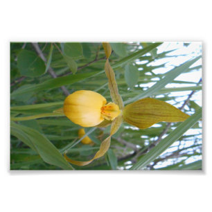 impressão da foto 6x4