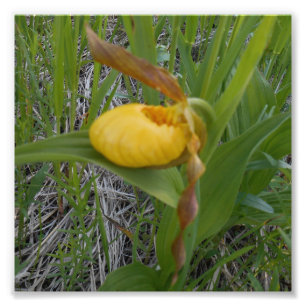 impressão da foto 6x6