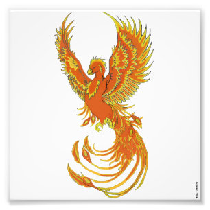 Impressão da foto da ascensão de Phoenix