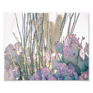 Impressão da foto da manhã do deserto
