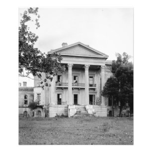 Impressão da foto de Louisiana da plantação do