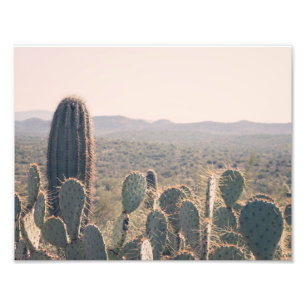 Impressão da foto dos cactos da arizona