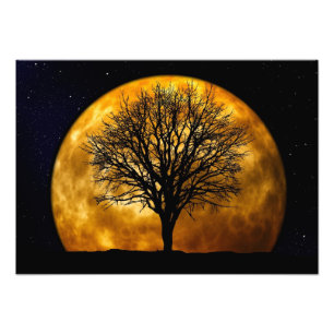 Impressão da meia-noite da foto da Lua cheia