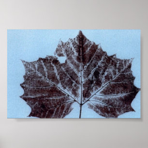 Impressão da Natureza MiniPoster