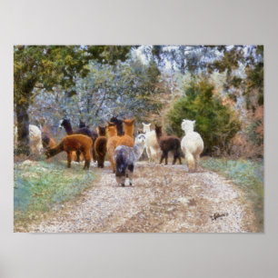 Impressão da pintura de Digitas das alpacas