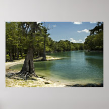 Impressão da praia do rio Suwannee