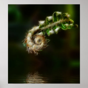 Impressão da samambaia de Fiddlehead