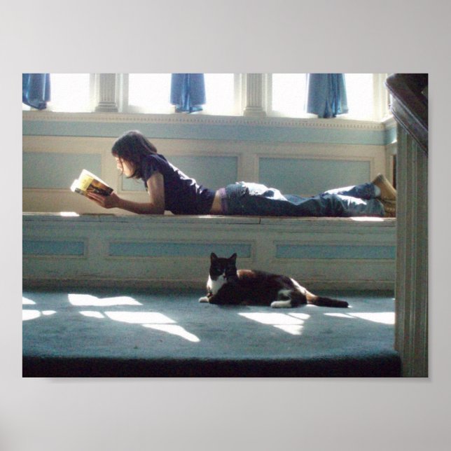 Impressão da tela de Belas Solares (Frente)