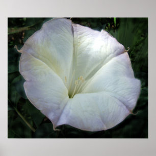 Impressão da ventoinha da lua