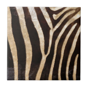 impressão da zebra do falso