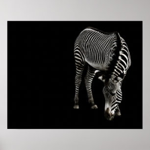 Impressão da zebra P4435
