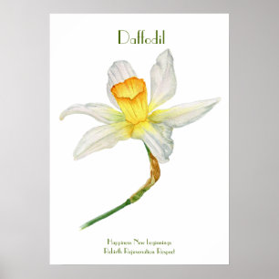 Impressão Daffodil, Papel Poster de Valor (Matte)