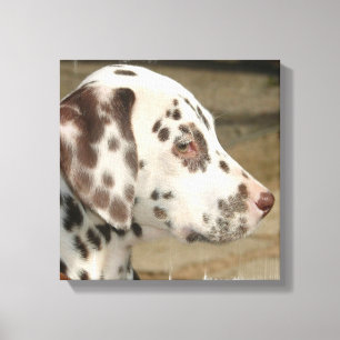 Impressão Dalmatian das canvas do filhote de