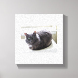 Impressão das canvas