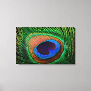 Impressão das canvas com imagem colorida da pena