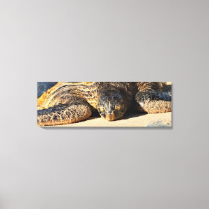 Impressão das canvas da tartaruga de mar de Maui