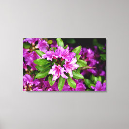 Impressão das canvas de Azelia