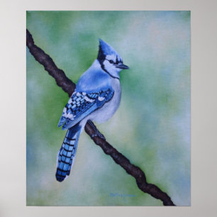 Impressão das canvas de Jay azul