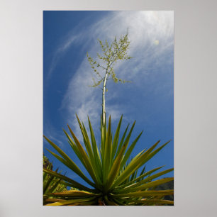 Impressão das canvas do cacto de Kalalau