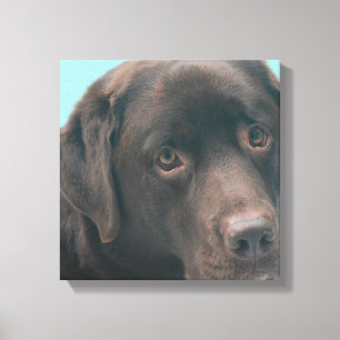 Impressão das canvas do cão do laboratório do