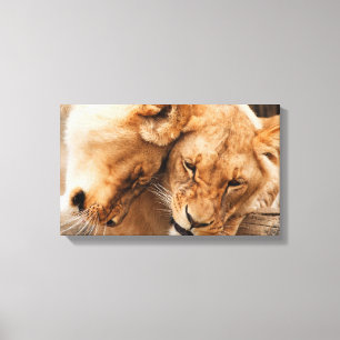 Impressão das canvas do casal dos leões