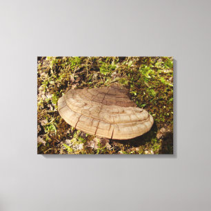 Impressão das canvas do cogumelo do igniarius de