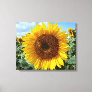 Impressão das canvas do girassol
