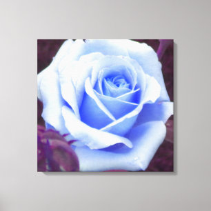 Impressão das canvas do rosa dos azuis bebés