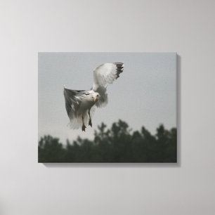 Impressão das canvas do ziguezague