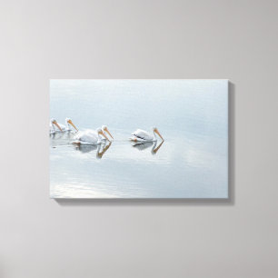 Impressão das canvas dos animais dos pássaros do