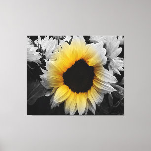 Impressão das canvas - girassol