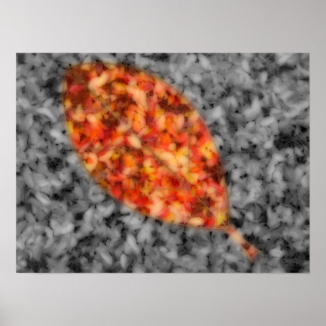 Impressão das Sombras Brilhantes (Frente)