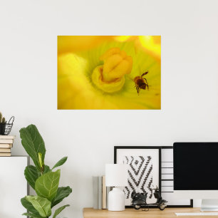 Impressão de Abelha Dentro da Flor de Abobrinha