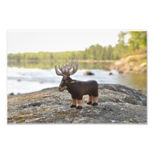Impressão de acampamento da foto dos alces