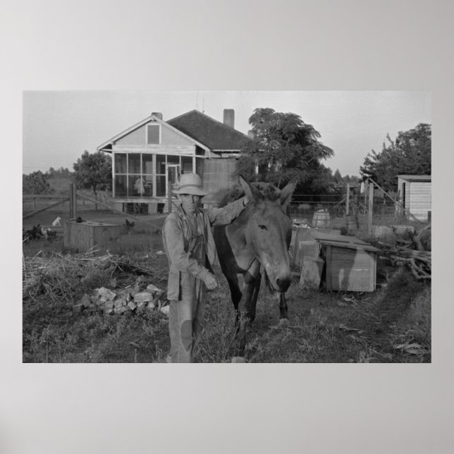 Impressão de Administração de segurança da Fazenda (Frente)
