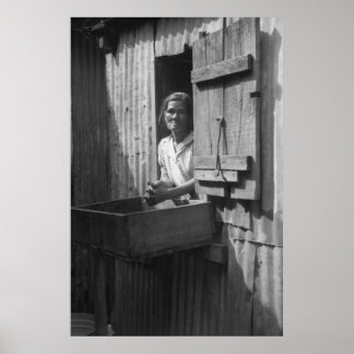 Impressão de Administração de segurança da Fazenda